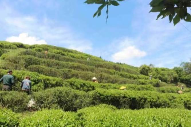 d7a917b7b205136aa9ca4ccf293ff521